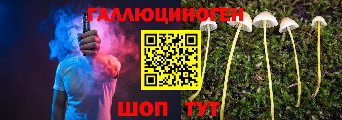 Котовск  Псилоцибиновые грибы Cubensis  Вход с VPN  Галлюциногенные грибы ЛСД 